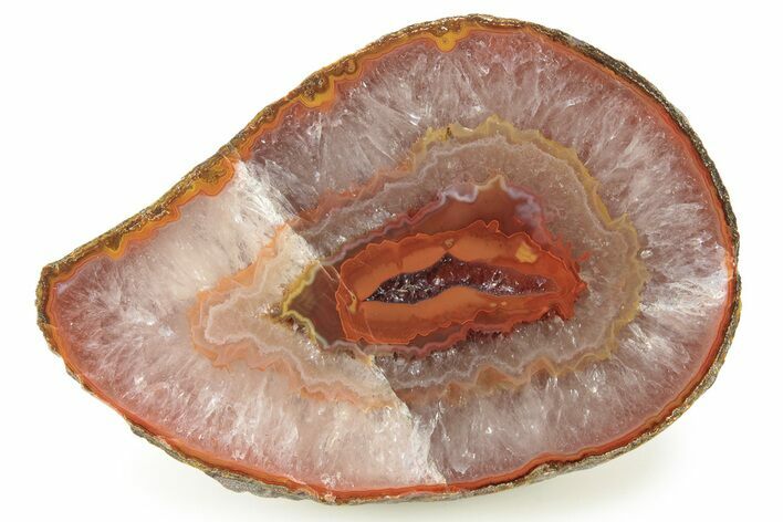 Polished Warring States Agate Nodule Half - China #260576